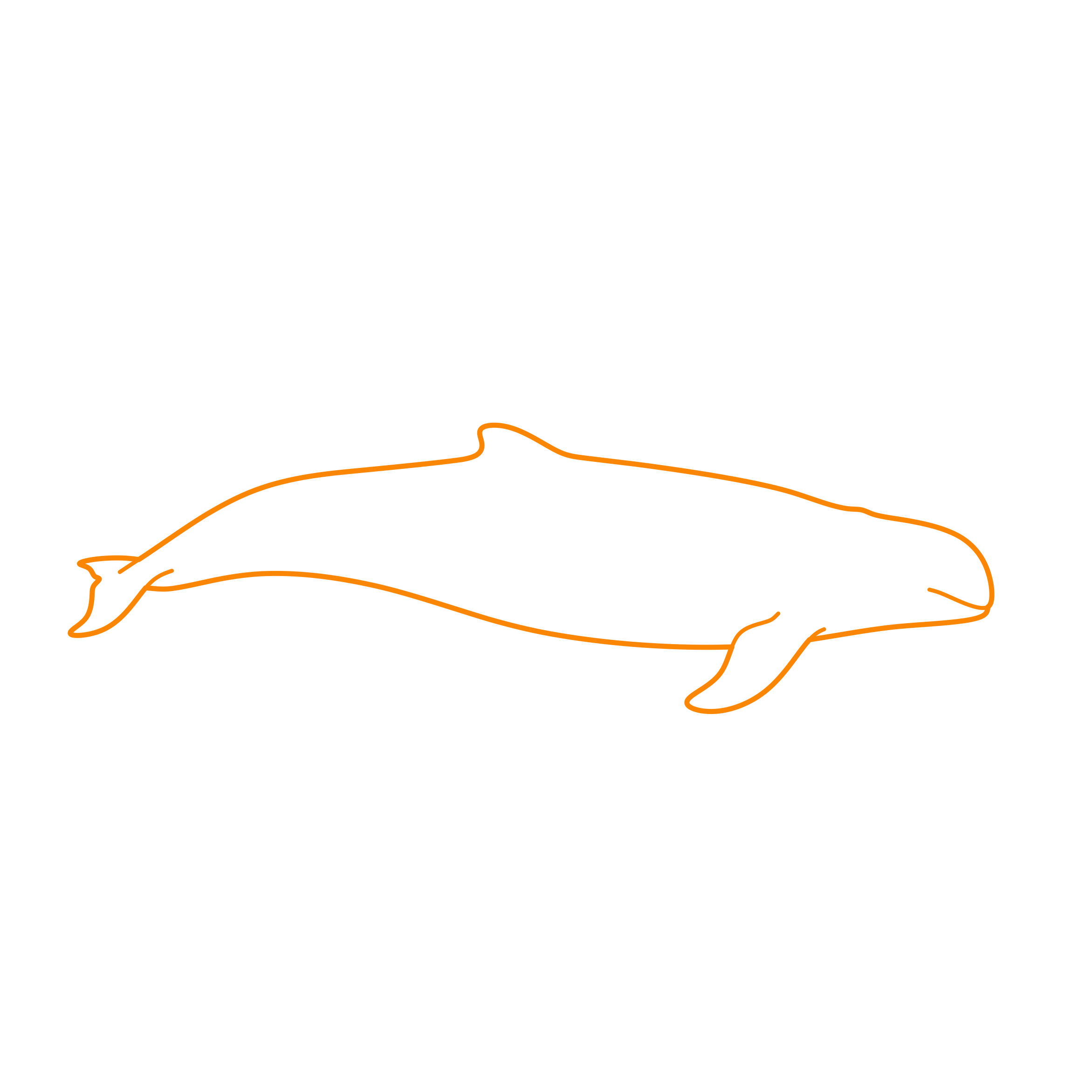 Animals Toothed Whales Irrawaddy Dolphin Outline Drawing Svg Vector Free Vectors